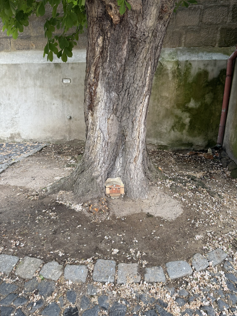 2.	Myšice pod kaštanem u Jezuitské kolejem