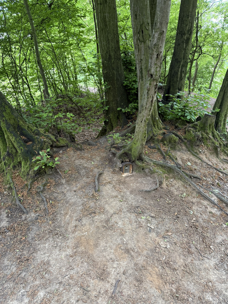 13. Ježek