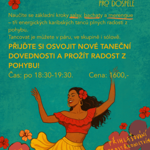 Karibské tance pro dospělé