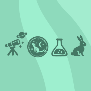 MISE ARTEMIS - let na Měsíc (mladší)